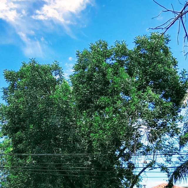 Large. Weather forecasts with beautiful photos by SEBASTIAN14 Photos in Olivos