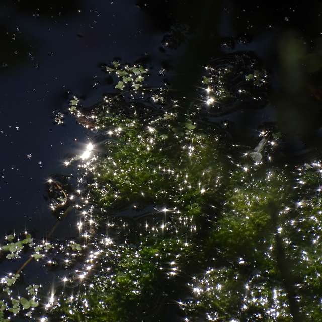 Fotos Clima. Previsões do tempo com lindas fotos de Vasek325 em Praha 4