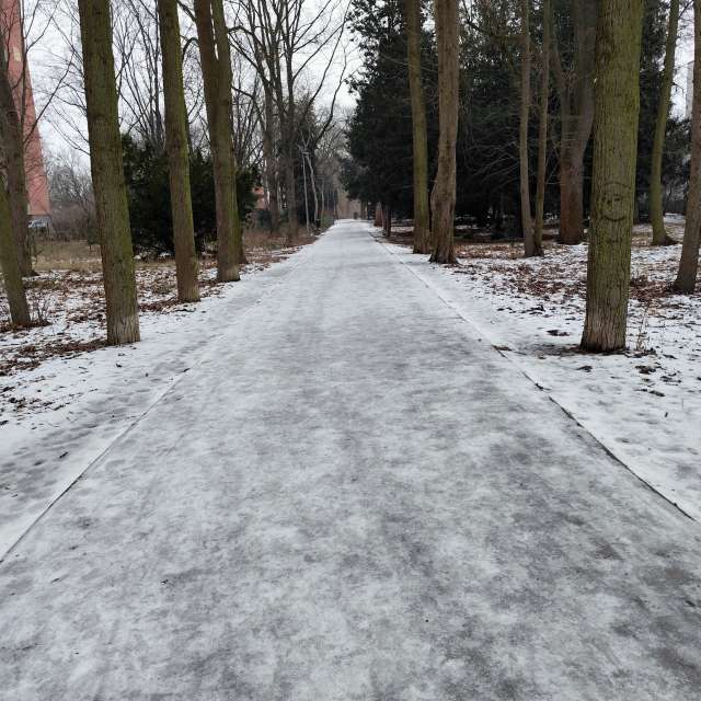 Bear. Weather forecasts with beautiful photos by Oleg1961 Photos in World