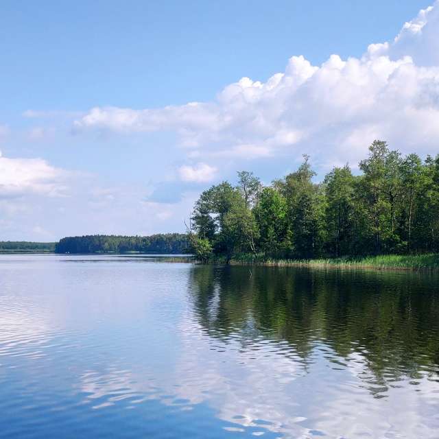 天气预报，带newgen精美的照片