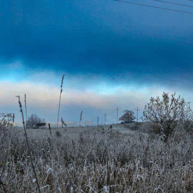 Grassy. Weather forecasts with beautiful photos by Kriszfoto Photos in World