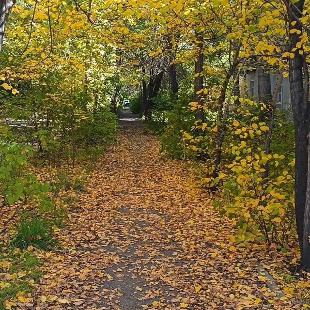 Fotos Cavalgando. Previsões do tempo com lindas fotos de ЮлЯШа em Gorodckoy Pliazh V Parke "Samal"