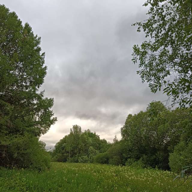Grazing. Weather forecasts with beautiful photos by Amanda_and_Valdemar_Che Photos in Izmaylovo District