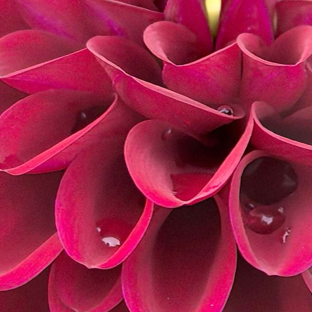 Previsões do tempo com lindas fotos de Igor-65