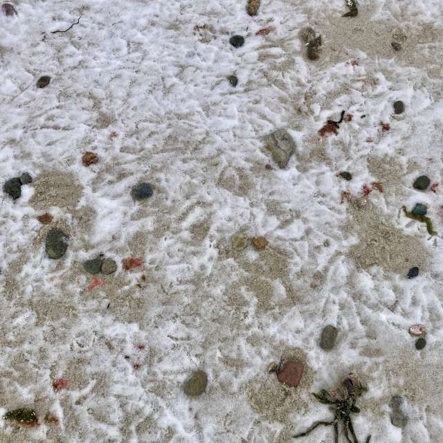 Fotos del De pie. Pronósticos del tiempo con hermosas fotos de prairiesands en Cape Cod
