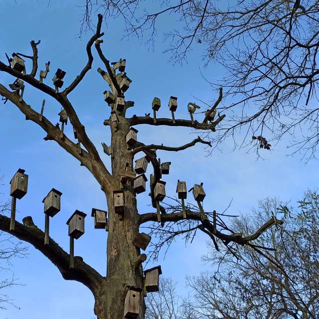 天气预报，带Helo_Sam精美的照片