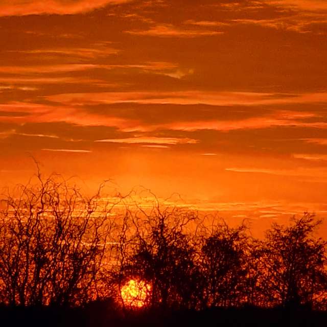 Jet. Weather forecasts with beautiful photos by Seni Photos in Velbert