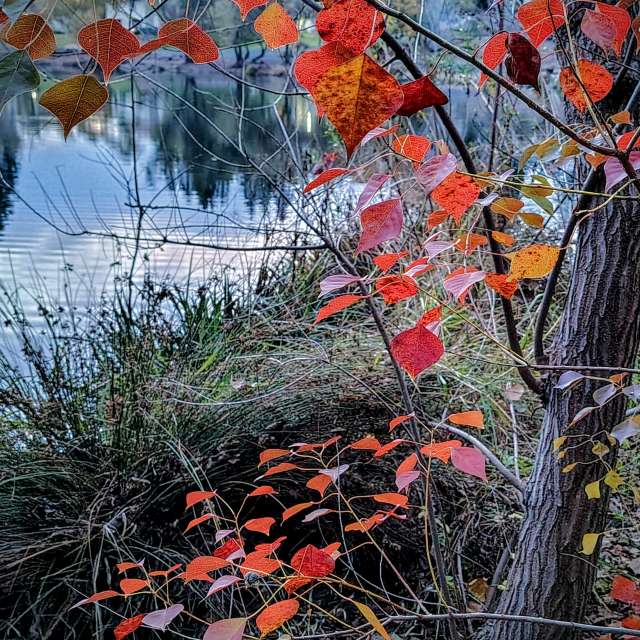 世界的天气照片. 天气预报，带Ghostroku精美的照片