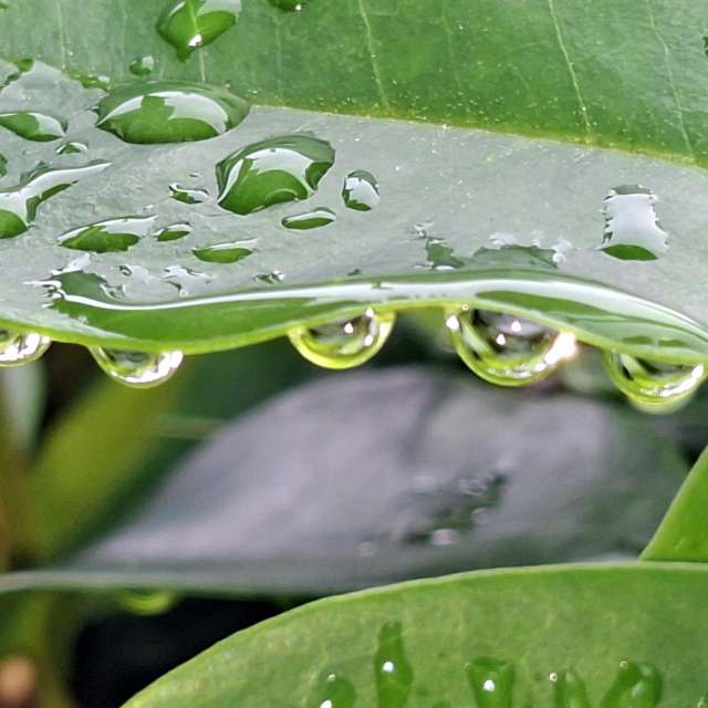 Rain. Weather forecasts with beautiful photos by Wen-ya Huang Photos in Kaohsiung City