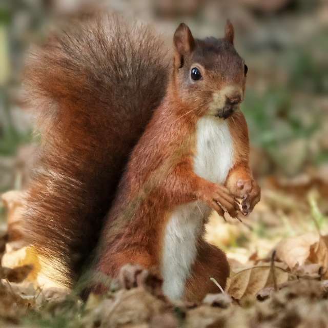Pronósticos del tiempo con hermosas fotos de Lotti5507