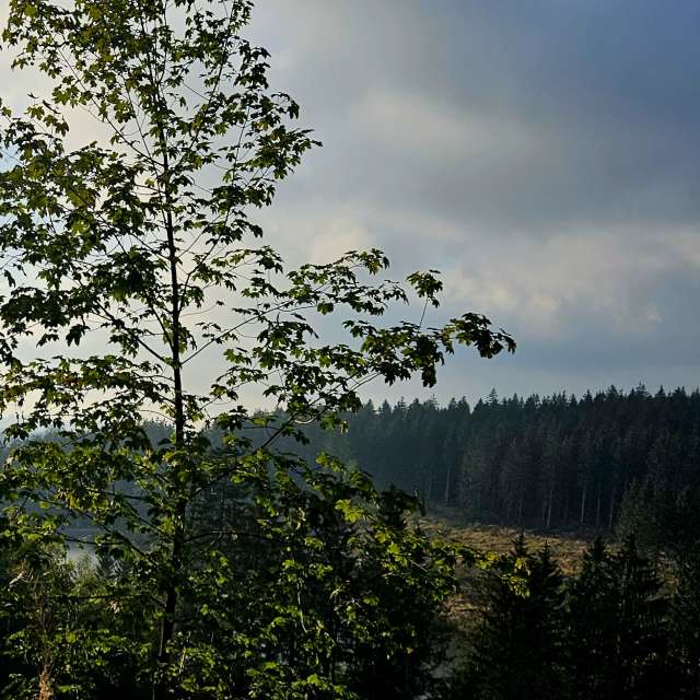Water. Weather forecasts with beautiful photos by PythonOfSoul Photos in Harz