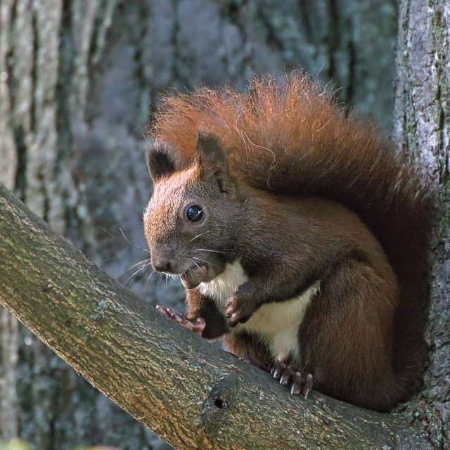 Tom44の美しい写真による天気予報