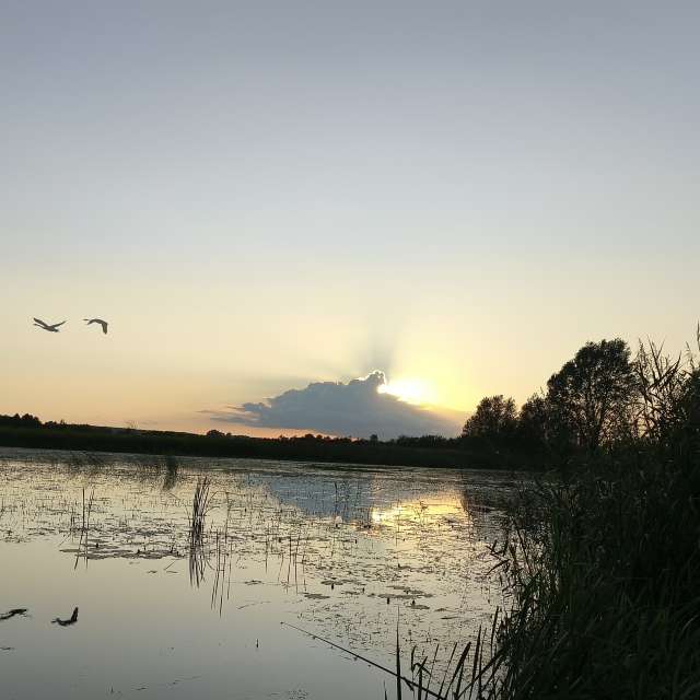 Wettervorhersagen mit schönen Fotos von Valiukas