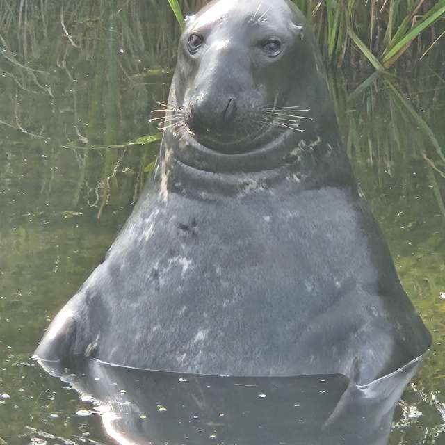 Prévisions météo avec de superbes photos de KatreKal