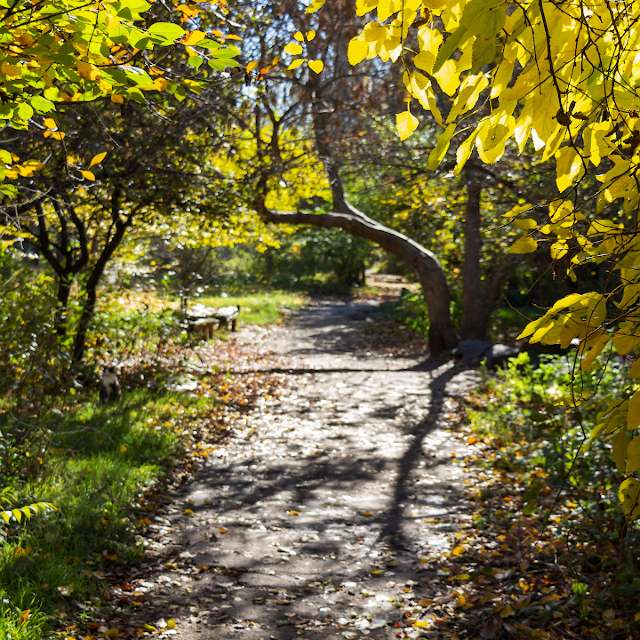 Wettervorhersagen mit schönen Fotos von Mihail_N24