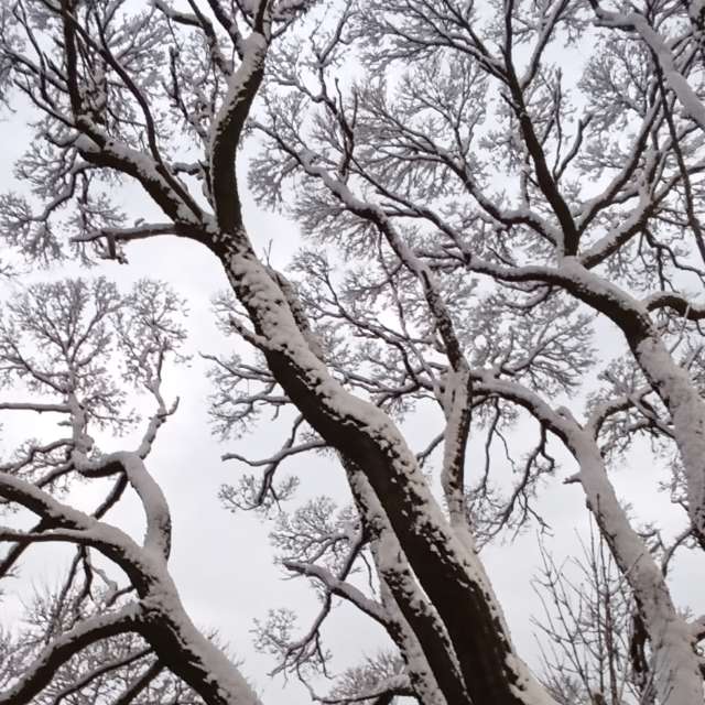 Прогнозы погоды с чудесными фотографиями, сделанными Lena_Glukhova