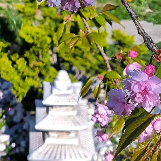 Weather forecasts with beautiful photos by Adri