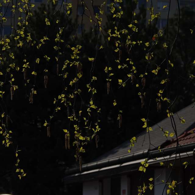 Fotos Rua. Previsões do tempo com lindas fotos de Vasek325 em Praha 4