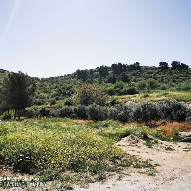 Rawwagahの美しい写真による天気予報