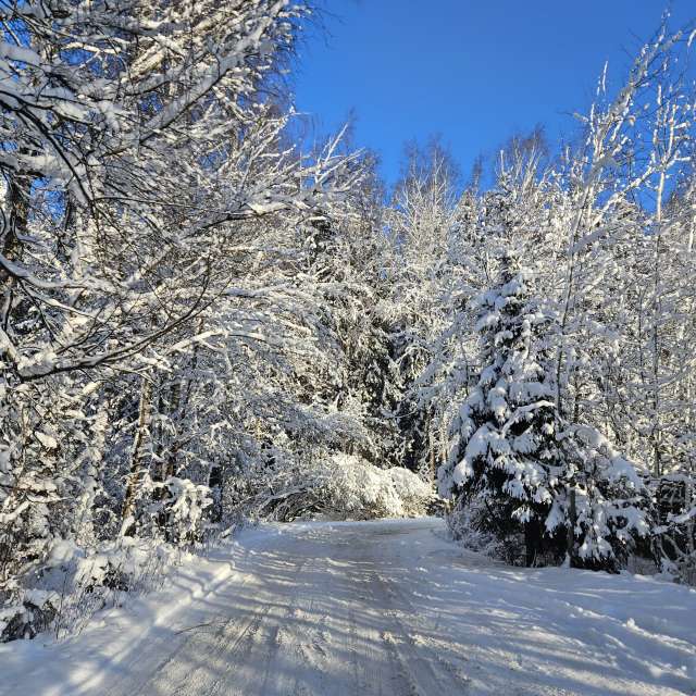 Prévisions météo avec de superbes photos de miha73