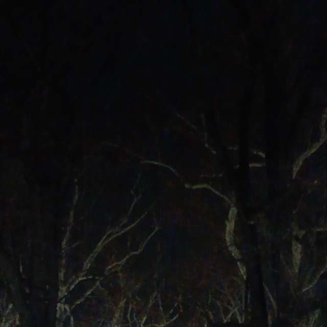 Fotos del Joven. Pronósticos del tiempo con hermosas fotos de YanBog en București