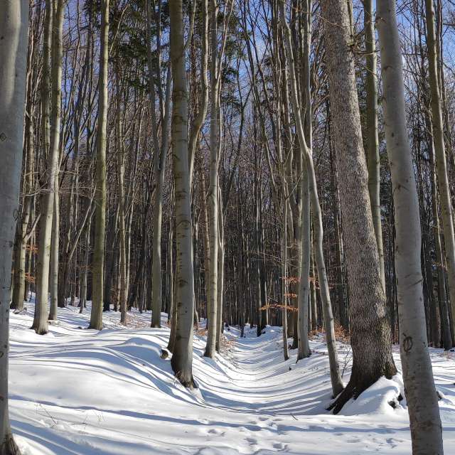 Bereich. Wettervorhersagen mit schönen Fotos von Kripo Fotos Ladek Zdroj