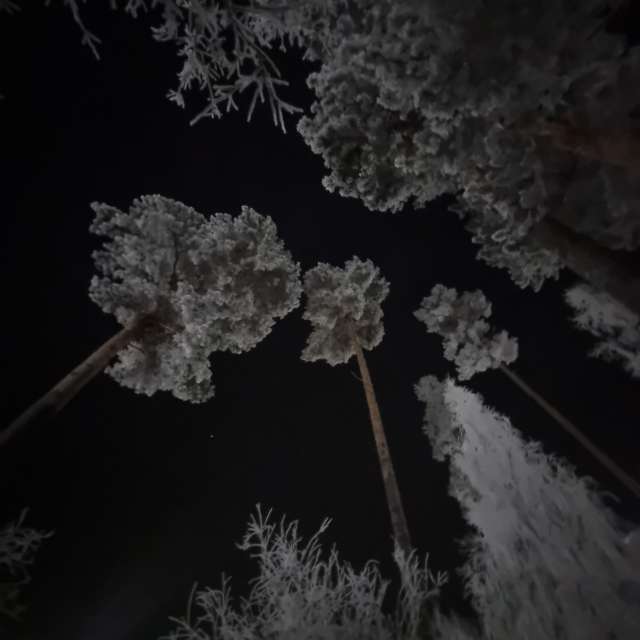 Pronósticos del tiempo con hermosas fotos de Fox_1900