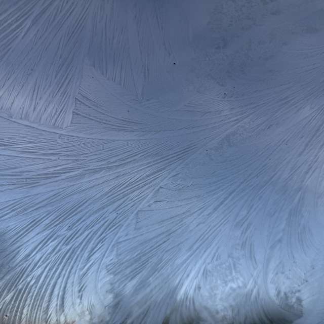 天气预报，带SwissEloi精美的照片