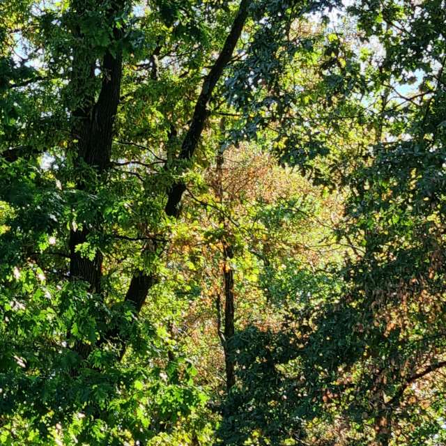 Greetの美しい写真による天気予報