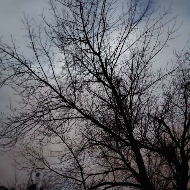 Gray. Weather forecasts with beautiful photos by Iryna Photos in Kharkiv