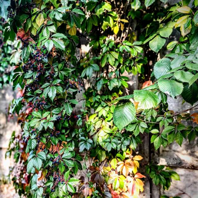 天气预报，带Michael_1969精美的照片