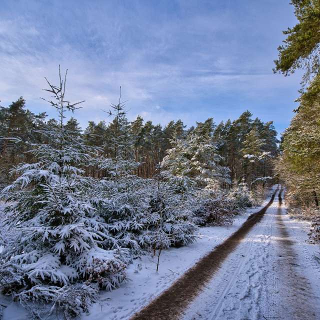 Прогнозы погоды с чудесными фотографиями, сделанными Dorfkind