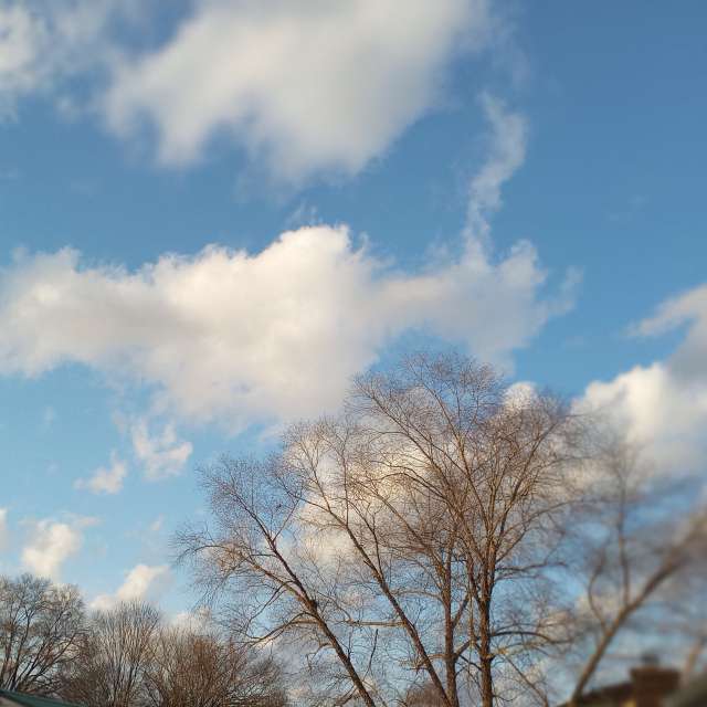 Photos Homme. Prévisions météo avec de superbes photos de jeannecozzarin de North Carolina