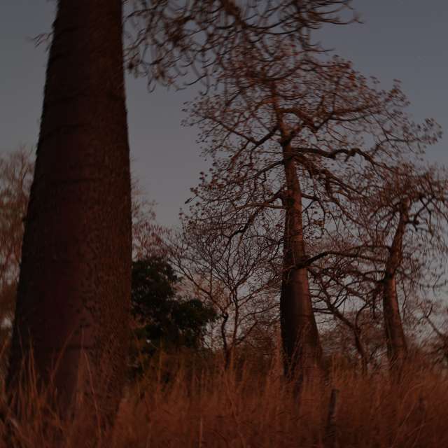 Feld. Wettervorhersagen mit schönen Fotos von VIAꓨEM_E_HISTÓЯIA Fotos Florianópolis
