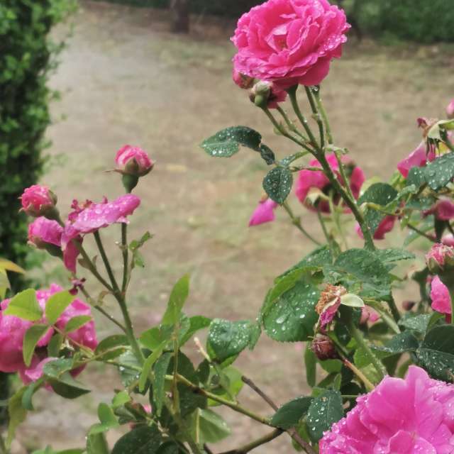 Weather forecasts with beautiful photos by CalligraphyELA