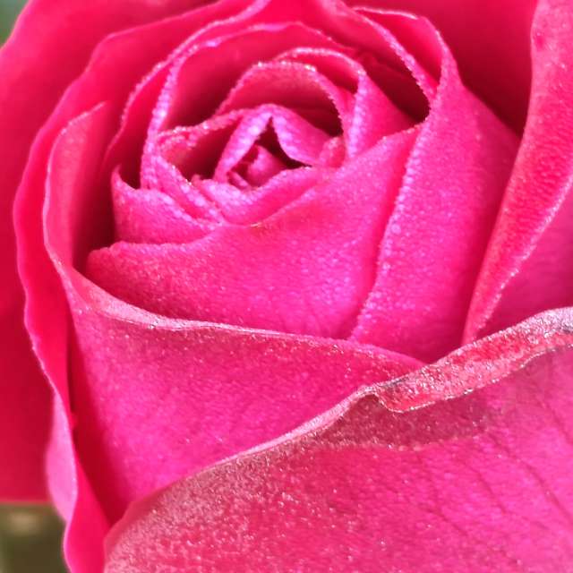 Anamarijaの美しい写真による天気予報