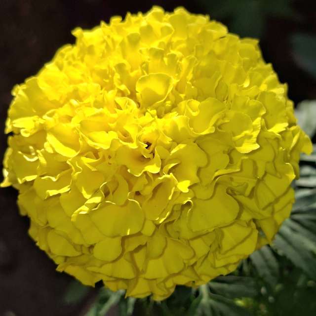 Prévisions météo avec de superbes photos de Wen-ya Huang