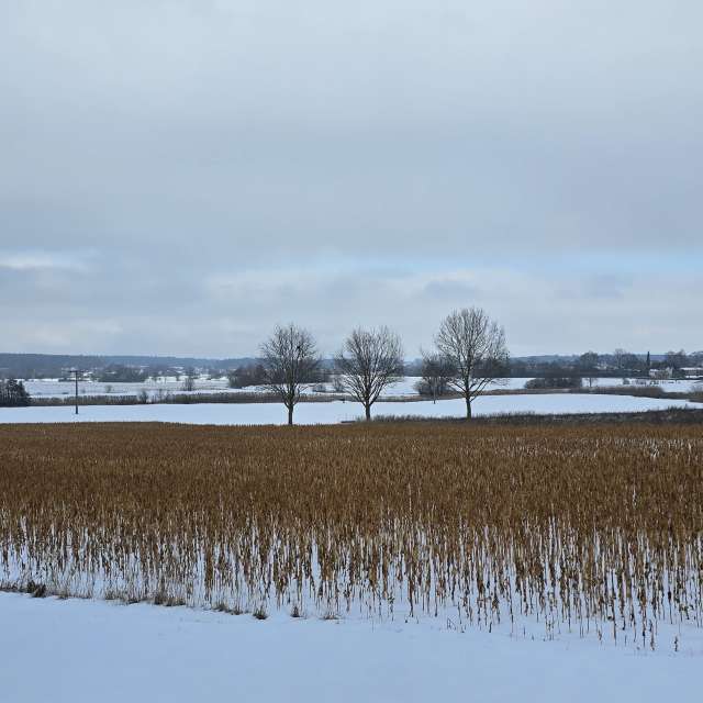 Helaの美しい写真による天気予報