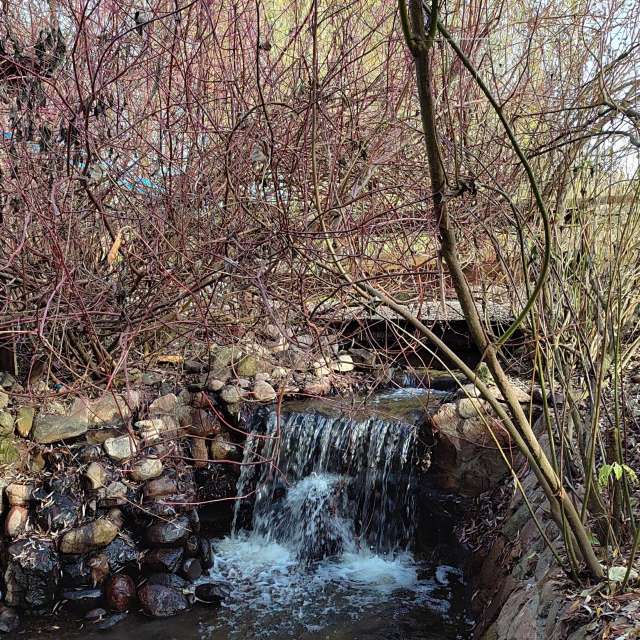 Weather forecasts with beautiful photos by Romek58