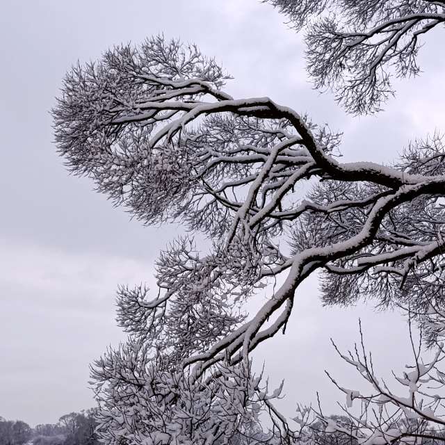 Прогнозы погоды с чудесными фотографиями, сделанными Lena_Glukhova