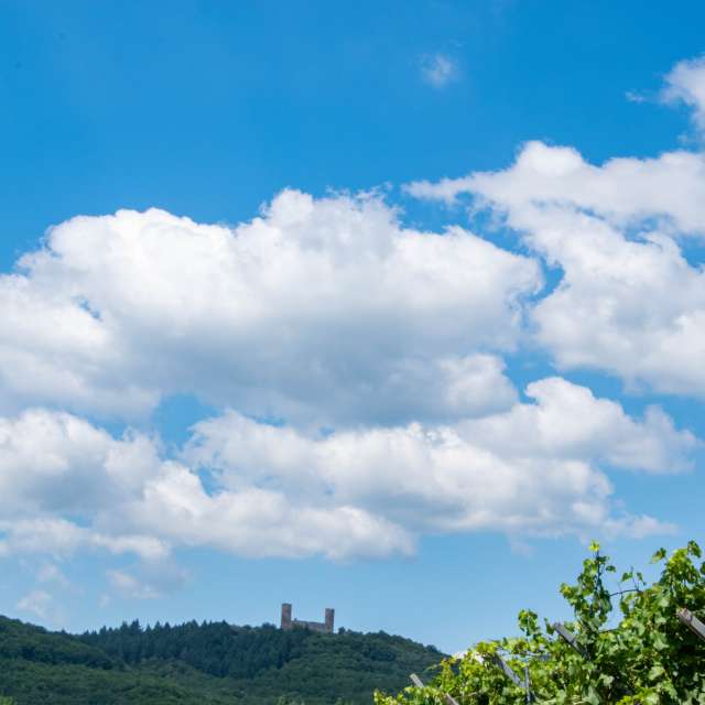 天气预报，带Airene精美的照片