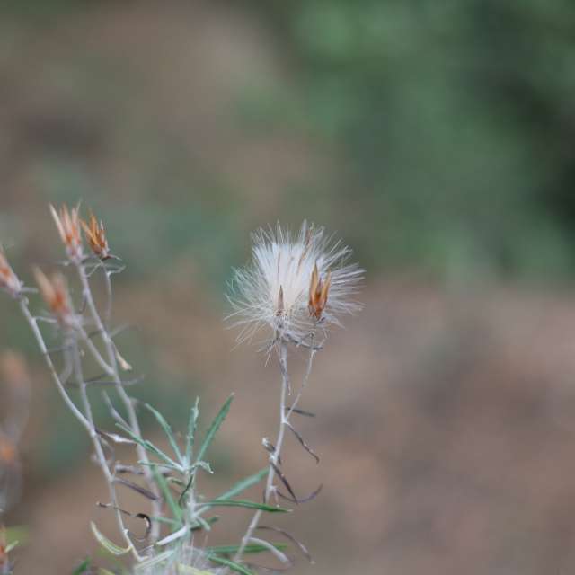 Weather. Weather forecasts with beautiful photos by tony5636 Photos in Calvisson