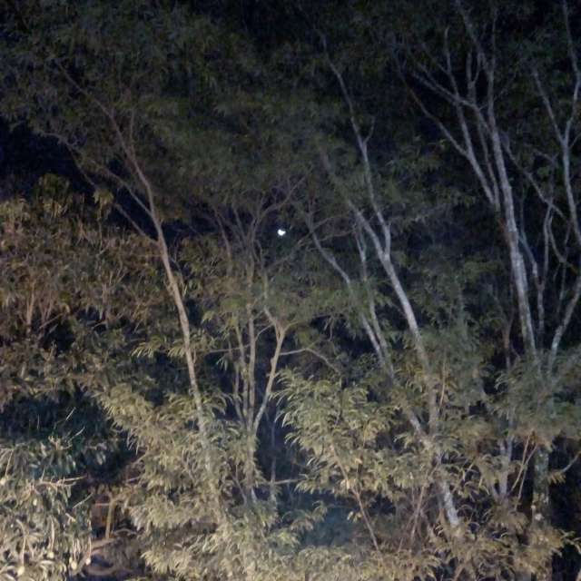 Pronósticos del tiempo con hermosas fotos de Bruy