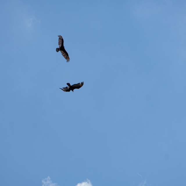 天气预报，带grt90精美的照片