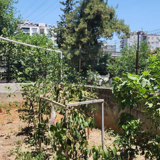 Vagcaの美しい写真による天気予報