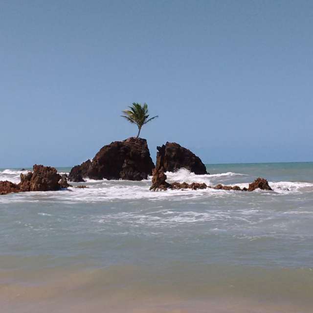 Pronósticos del tiempo con hermosas fotos de Bruy