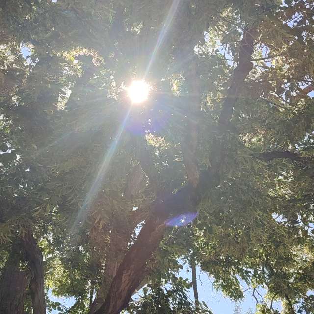 Hill. Weather forecasts with beautiful photos by Tercis Photos in Ettlingen