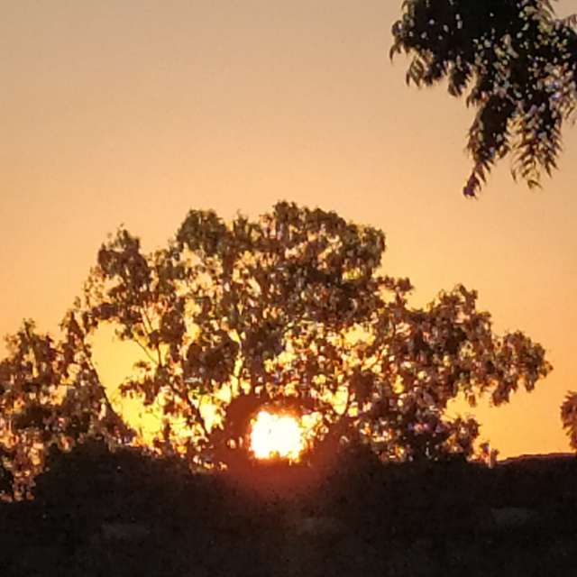 Прогнозы погоды с чудесными фотографиями, сделанными Mashaer