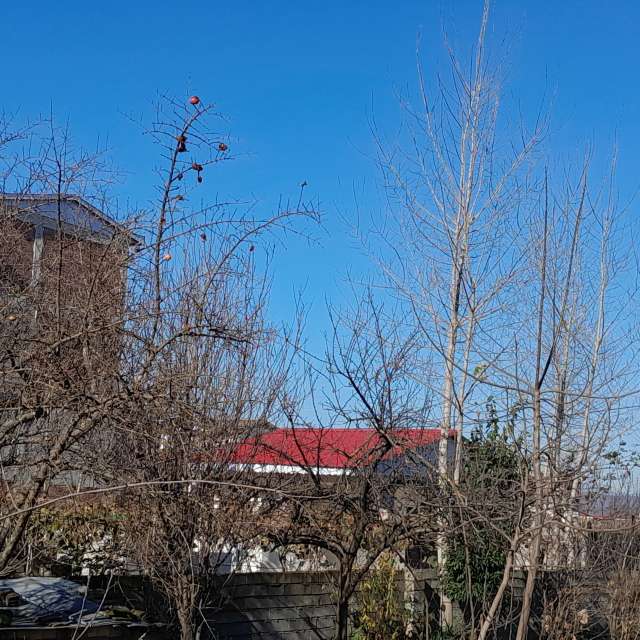 天气预报，带Soheilpmi精美的照片