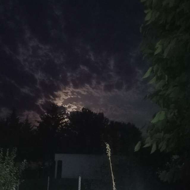 天气预报，带Boban精美的照片